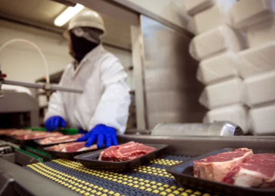 Joint d'étanchéité pour chaîne alimentaire