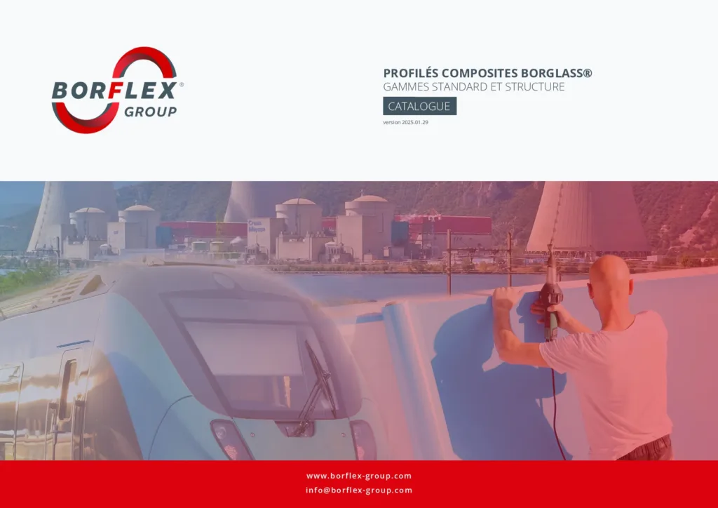 Catalogue Profilés Composites BORGLASS®