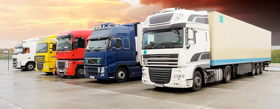 Transport terrestre